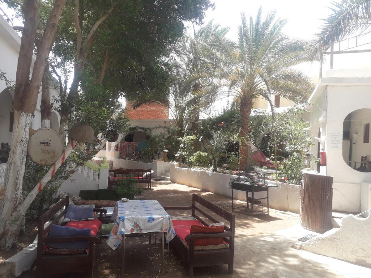 Fighting Kangaroo Camp Hotel ดาฮับ ภายนอก รูปภาพ