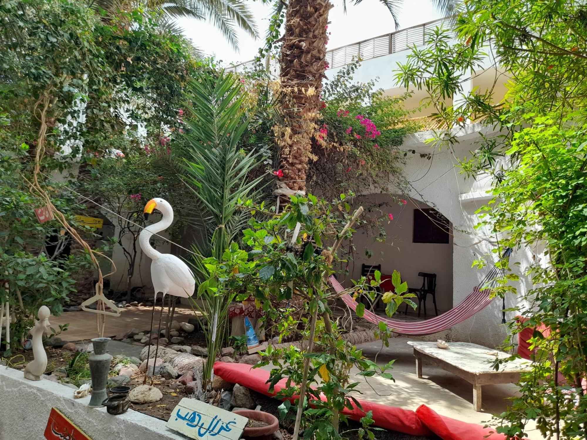 Fighting Kangaroo Camp Hotel ดาฮับ ภายนอก รูปภาพ